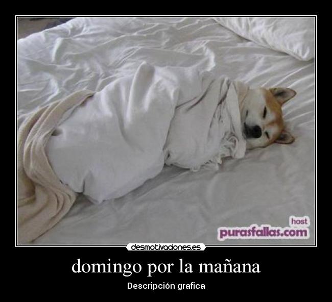 domingo por la mañana - 