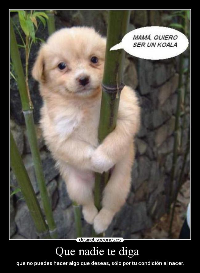 Que nadie te diga   - que no puedes hacer algo que deseas, sólo por tu condición al nacer.