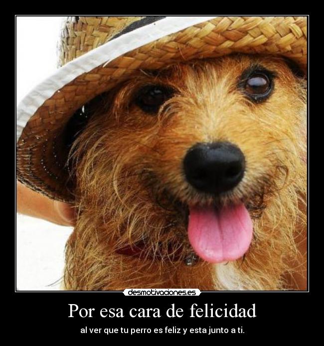 Por esa cara de felicidad -