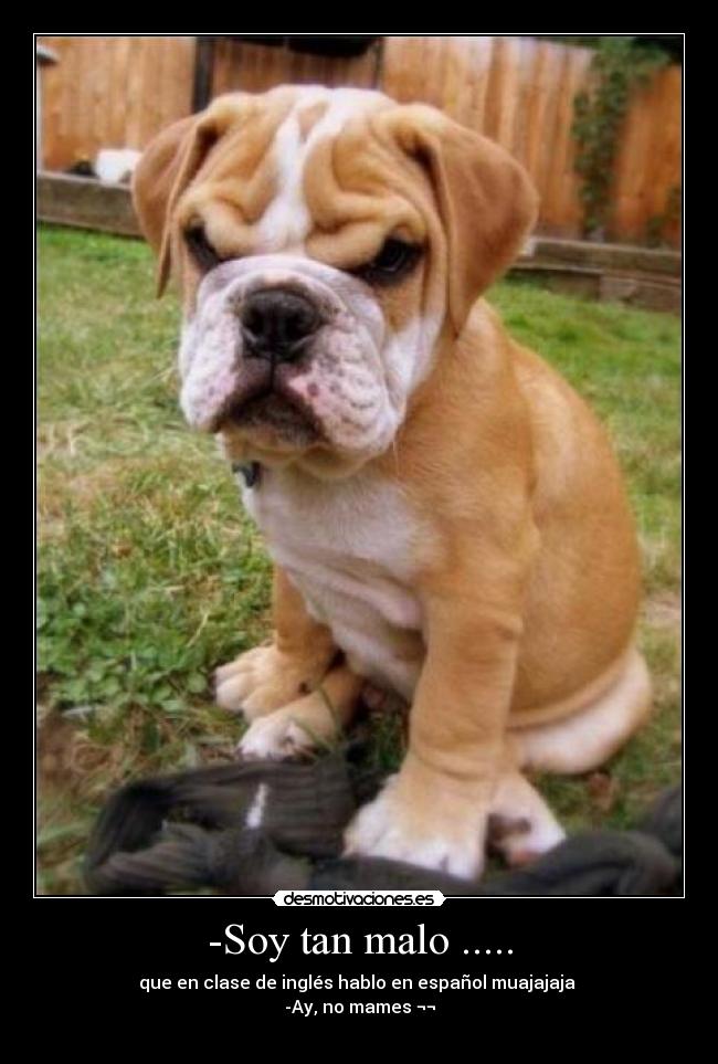 -Soy tan malo ..... - que en clase de inglés hablo en español muajajaja
-Ay, no mames ¬¬