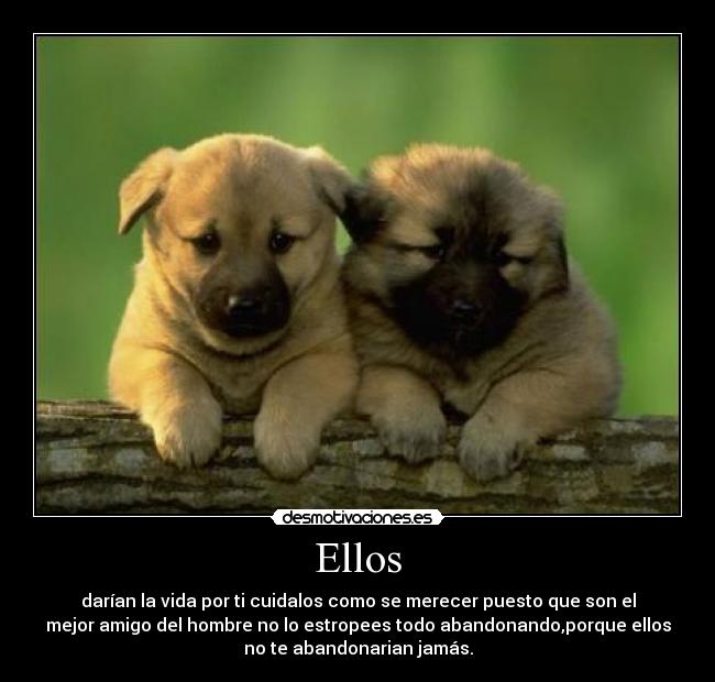 Ellos - 