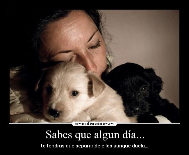 Sabes que algun día... -