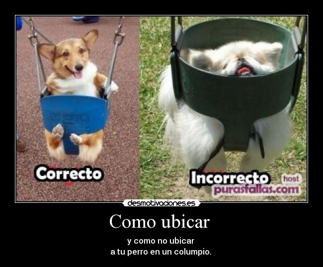 Como ubicar -