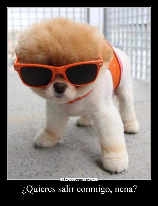 ¿Quieres salir conmigo, nena? - 