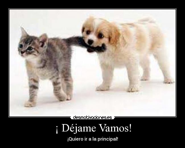 ¡ Déjame Vamos! - 