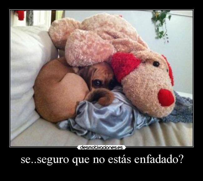 se..seguro que no estás enfadado? - 