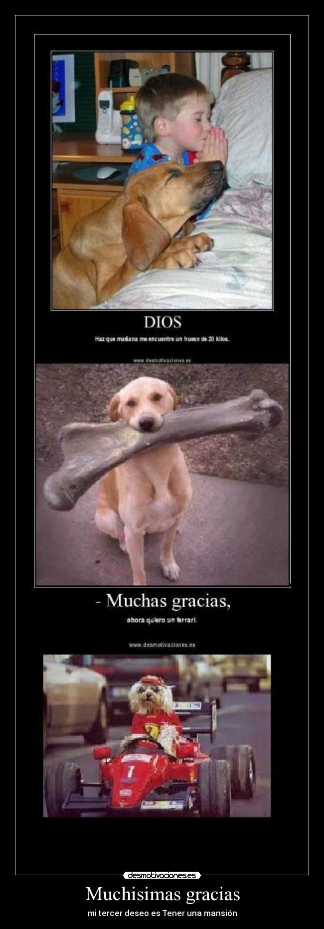 Muchisimas gracias -