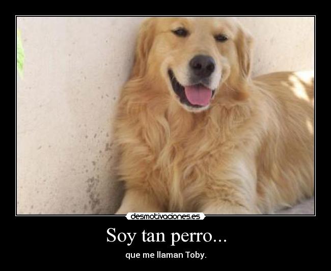 Soy tan perro... -