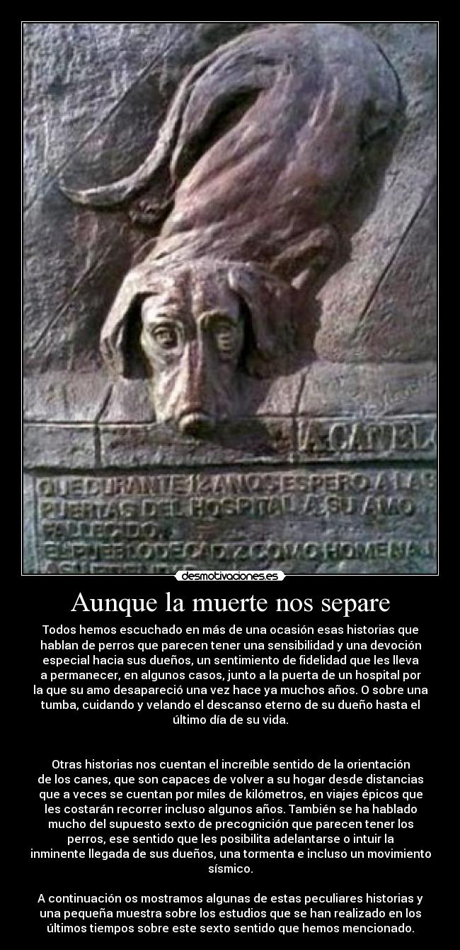 Aunque la muerte nos separe - 