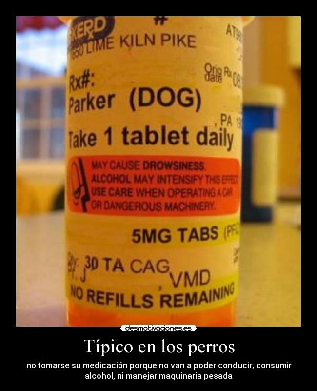 Típico en los perros - 