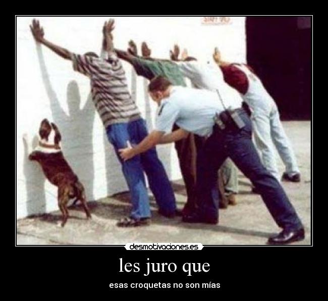 les juro que - esas croquetas no son mías