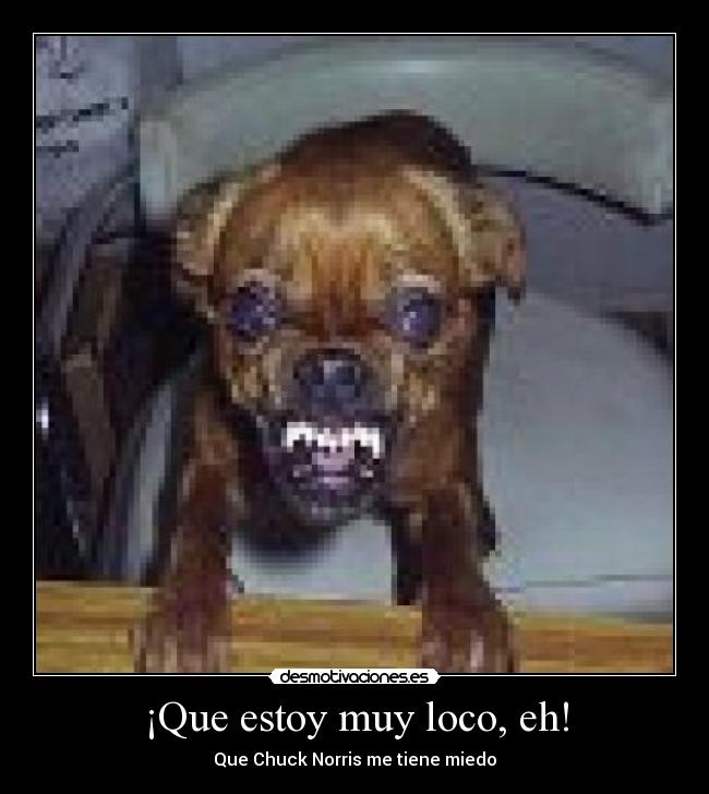 ¡Que estoy muy loco, eh! - 