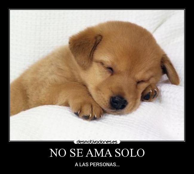 carteles manoliixoh desmotivaciones