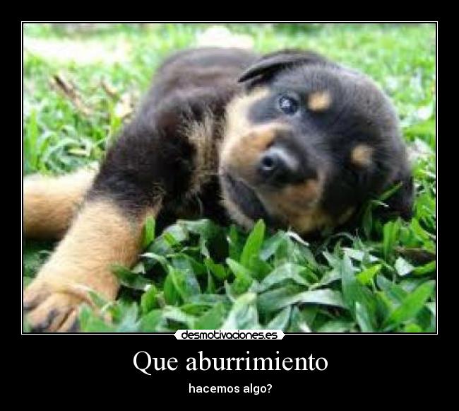 Que aburrimiento - 