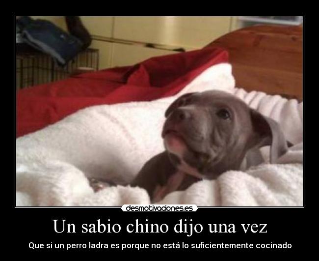 Un sabio chino dijo una vez -