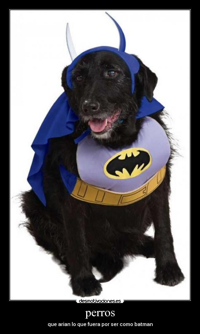 carteles perros batman que arian desmotivaciones