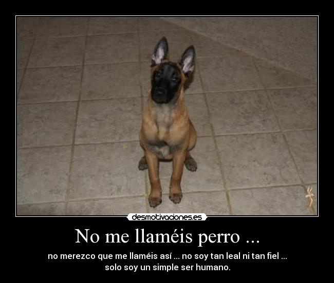 No me llaméis perro ... -