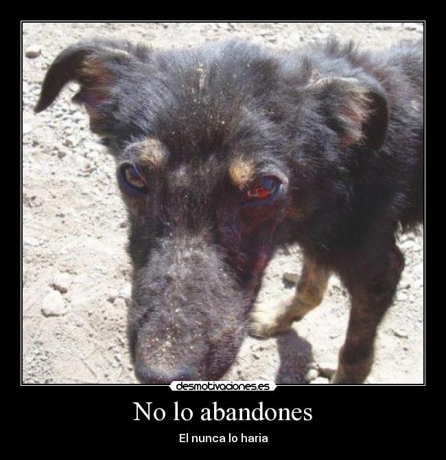 No lo abandones -