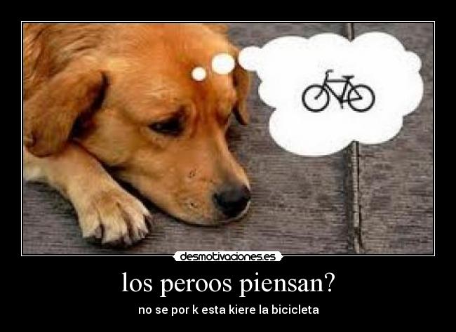 los peroos piensan? - no se por k esta kiere la bicicleta
