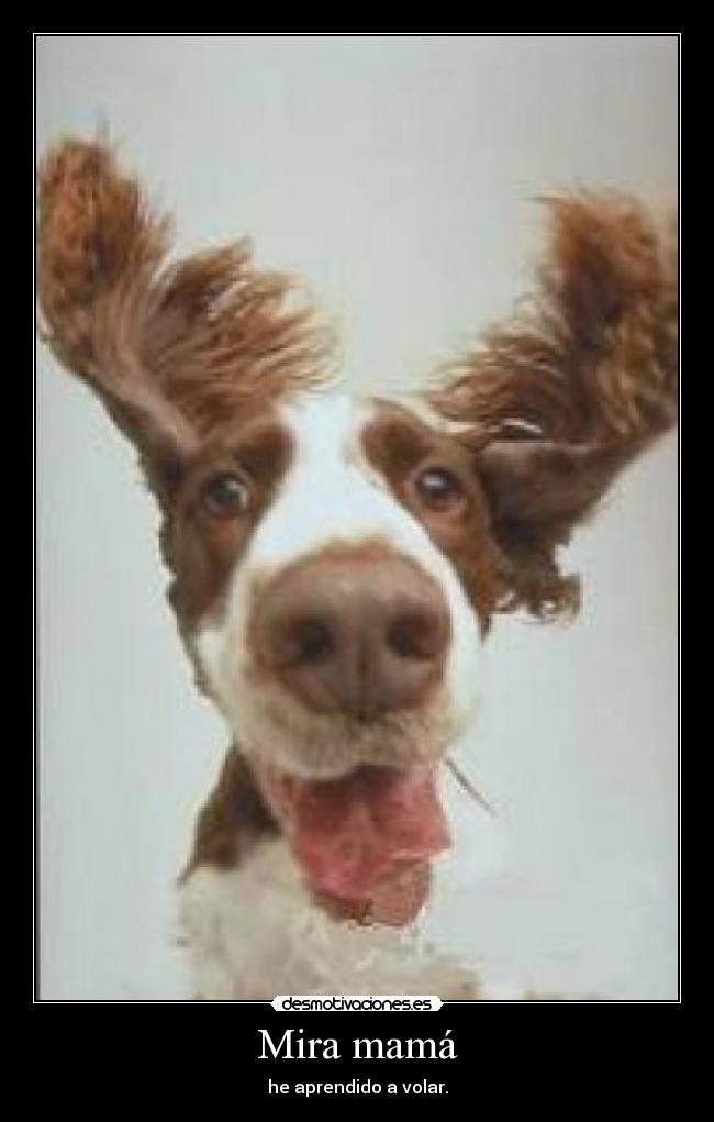 Mira mamá - he aprendido a volar.