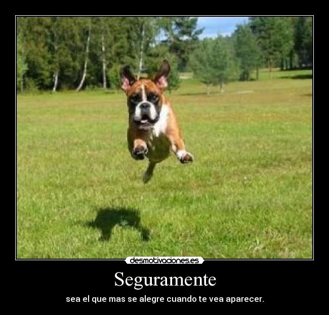 Seguramente - 