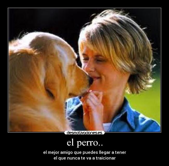 el perro.. -