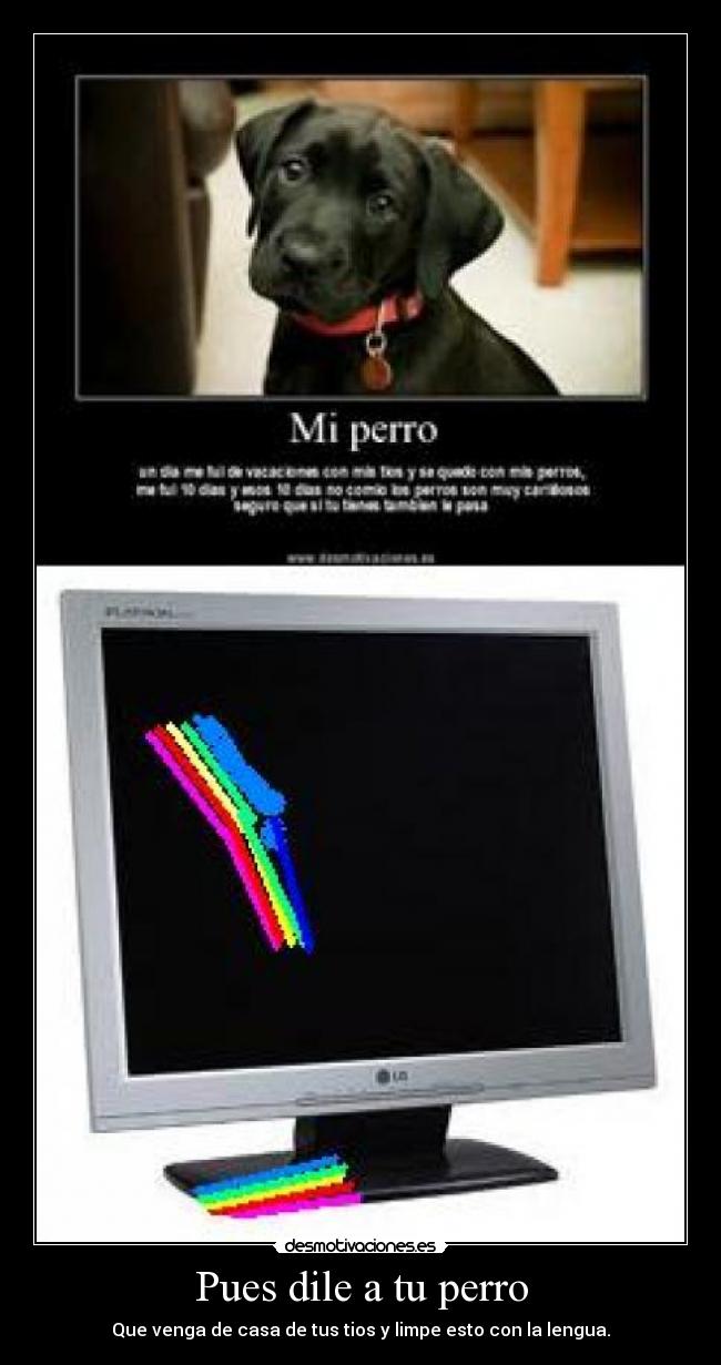 Pues dile a tu perro - Que venga de casa de tus tios y limpe esto con la lengua.