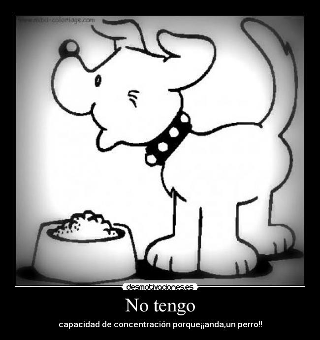 No tengo - capacidad de concentración porque¡¡anda,un perro!!
