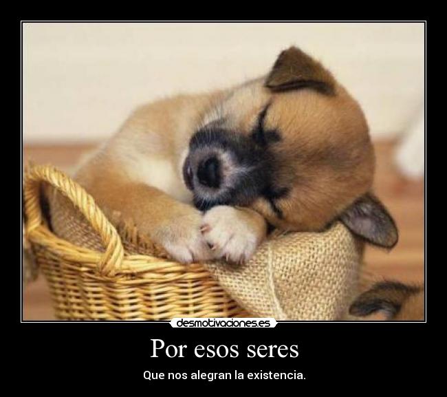 Por esos seres -