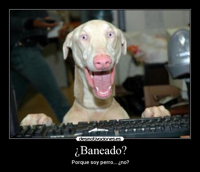 ¿Baneado? - 