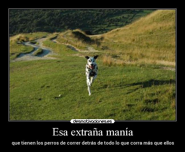 Esa extraña manía -