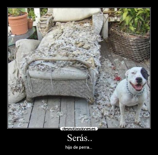 Serás.. -
