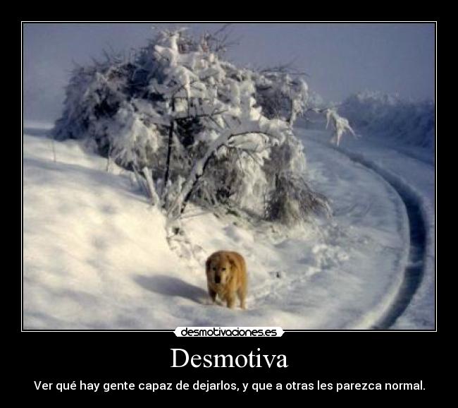 Desmotiva - 
