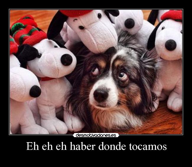 Eh eh eh haber donde tocamos -