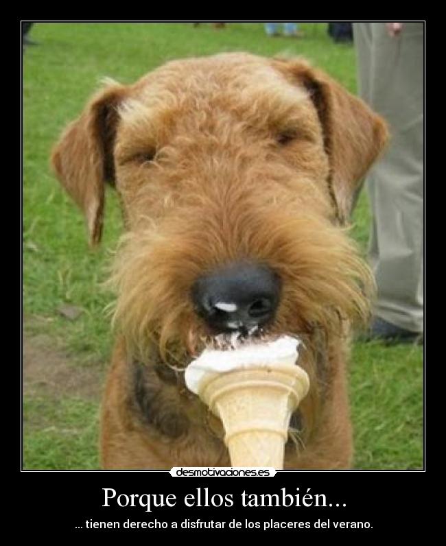 Porque ellos también... -