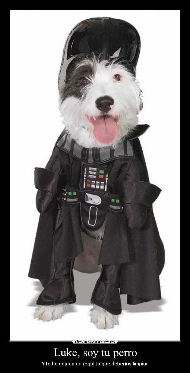 Luke, soy tu perro - Y te he dejado un regalito que deberías limpiar