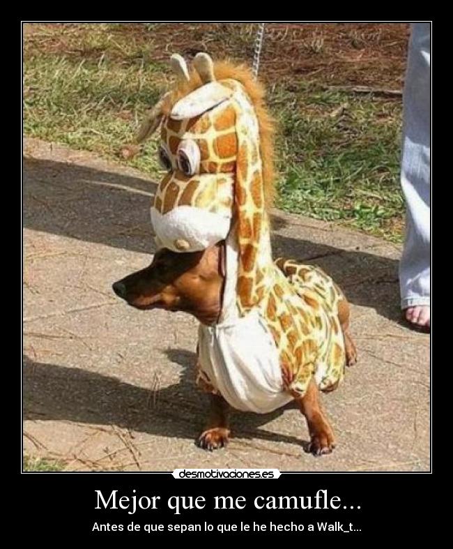 carteles perro perros malote malotes disfraz walk_t camuflaje animal animales desmotivaciones