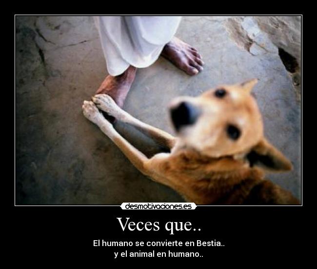 Veces que.. - El humano se convierte en Bestia..
y el animal en humano..