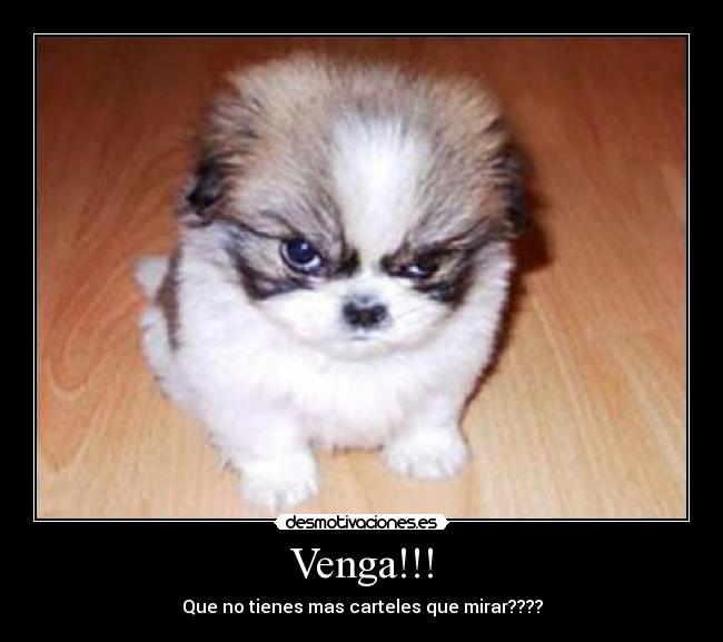 Venga!!! - Que no tienes mas carteles que mirar????