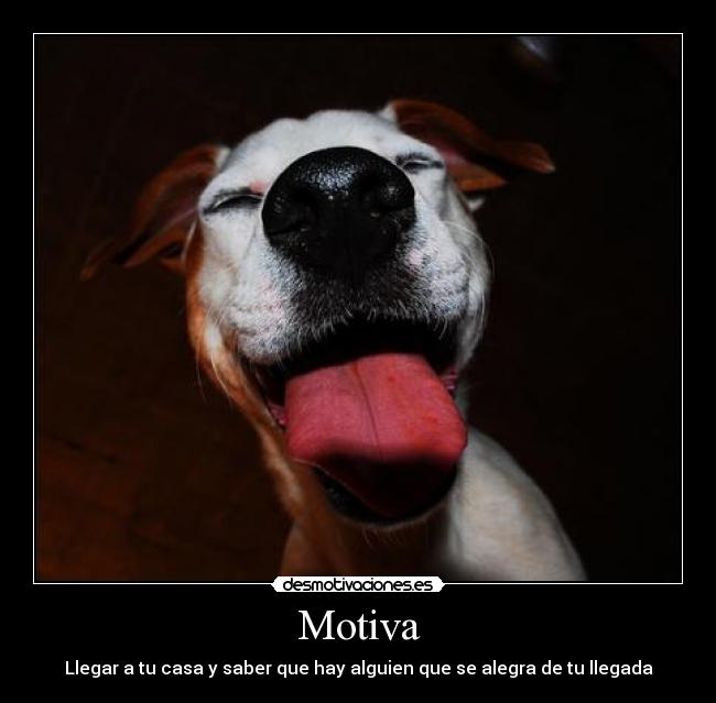 Motiva -