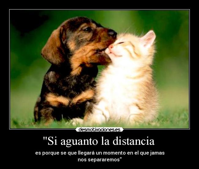 Si aguanto la distancia - es porque se que llegará un momento en el que jamas
nos separaremos