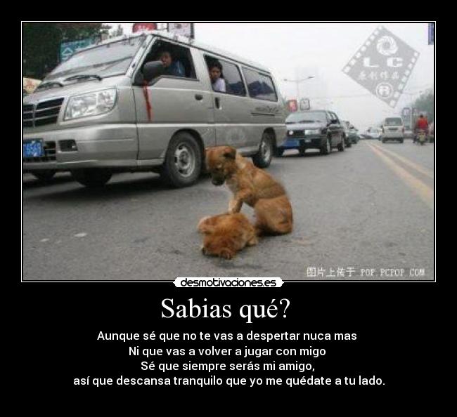 Sabias qué?  - Aunque sé que no te vas a despertar nuca mas 
Ni que vas a volver a jugar con migo 
Sé que siempre serás mi amigo, 
así que descansa tranquilo que yo me quédate a tu lado.
