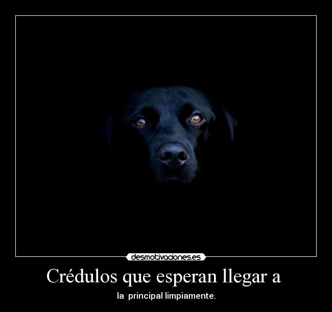 Crédulos que esperan llegar a - la principal limpiamente.