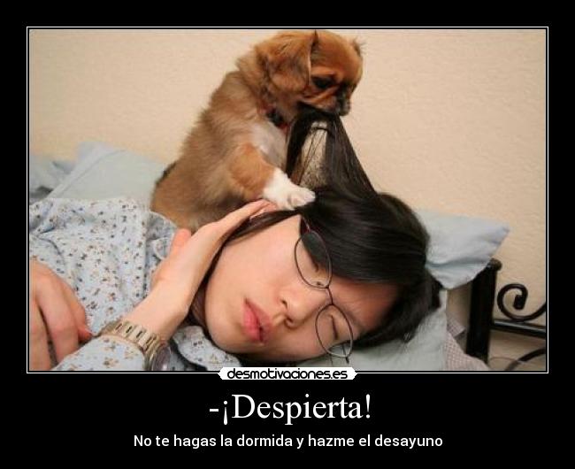 -¡Despierta! - No te hagas la dormida y hazme el desayuno