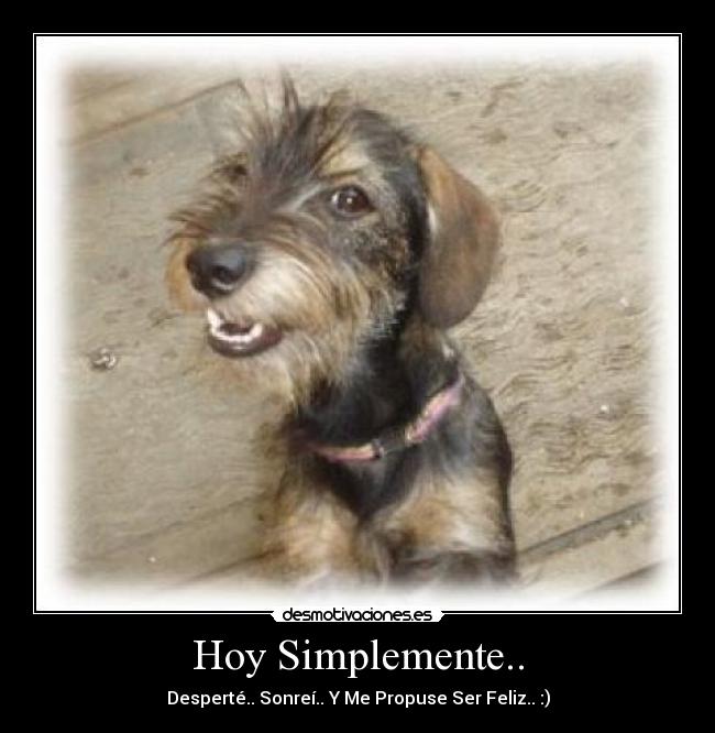 carteles ser feliz hoy amor sonreir despertar desmotivaciones