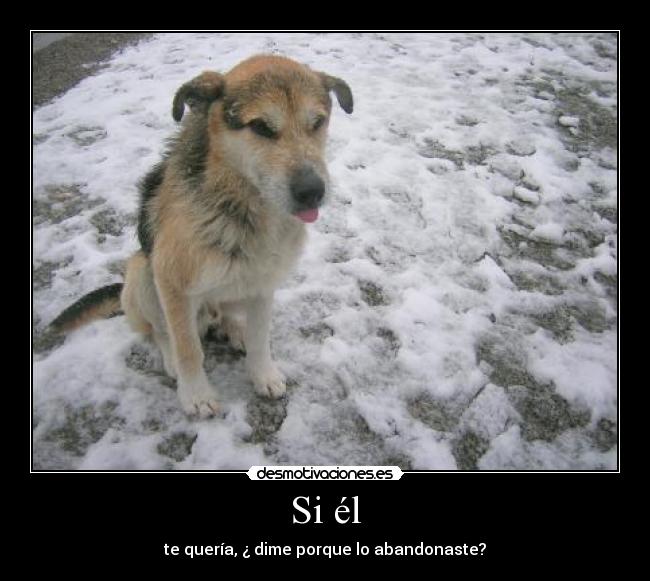 Si él - te quería, ¿ dime porque lo abandonaste?