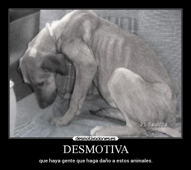DESMOTIVA -