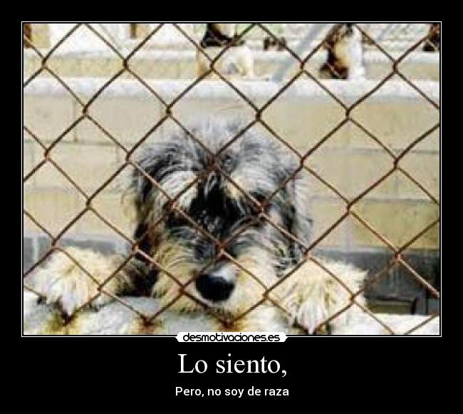 carteles sandruky98 desmotivaciones