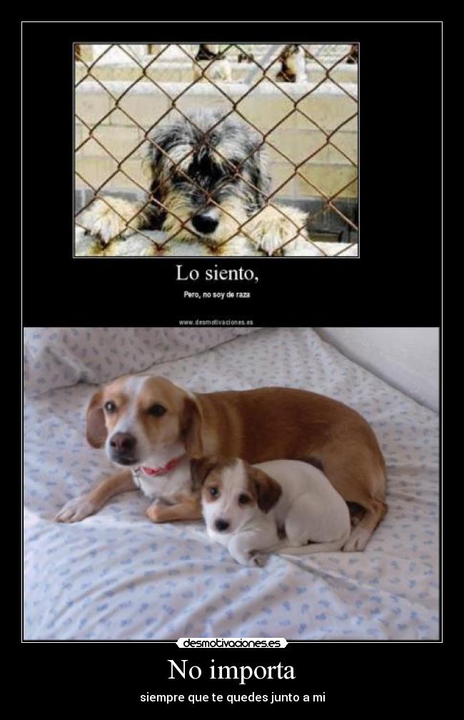 No importa - siempre que te quedes junto a mi