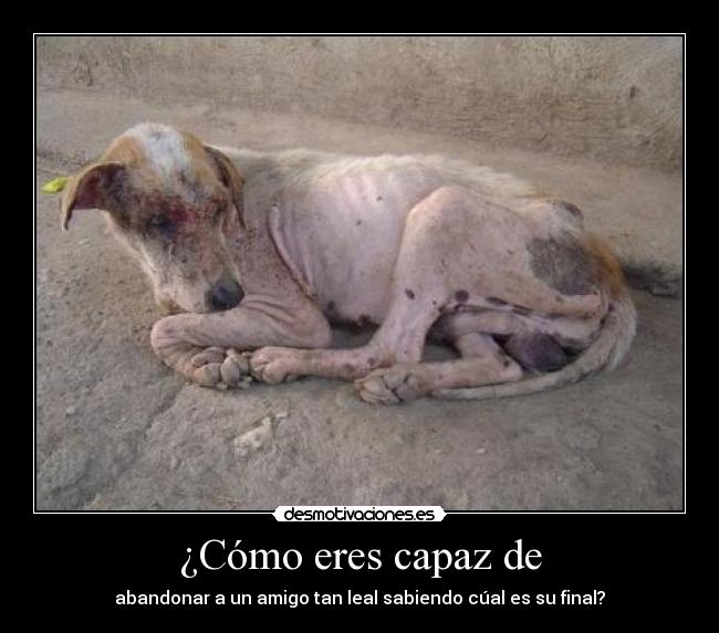 ¿Cómo eres capaz de -